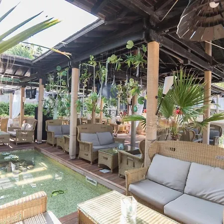 Oasis Resort&spa Cozy Apartament *